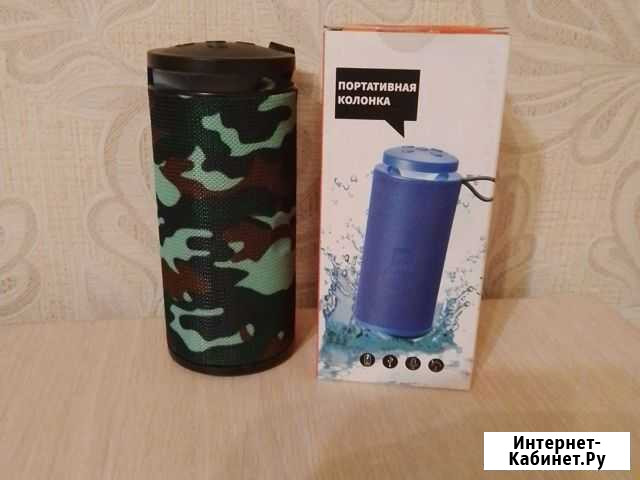 Портативная колонка Змеиногорск - изображение 1