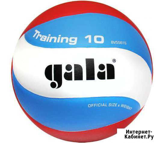 Мяч волейбольный Gala Training Омск - изображение 1