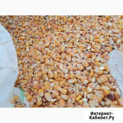 Продам кукурузу в мешке 40кг Михайловка