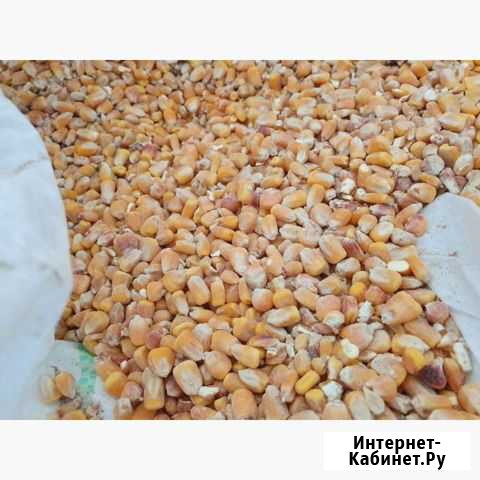 Продам кукурузу в мешке 40кг Михайловка - изображение 1
