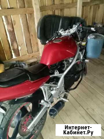 Suzuki bandit V Ельня - изображение 1