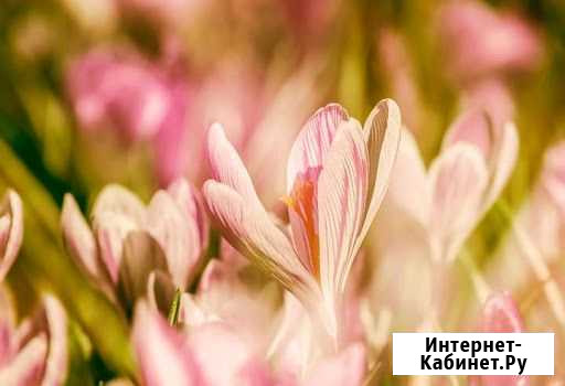 Уход круглосуточно Екатеринбург - изображение 1