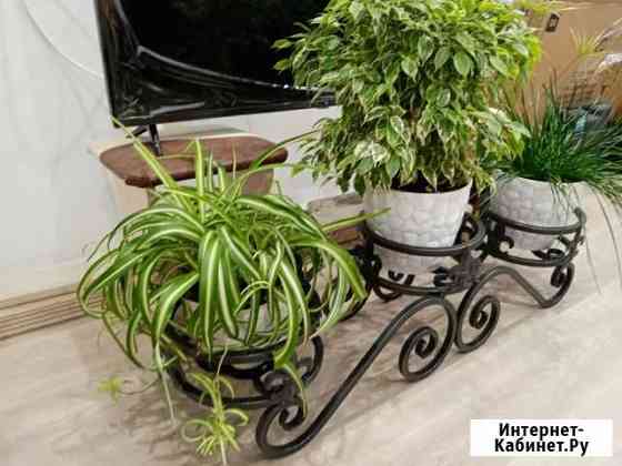 Подставка для цветов напольная Хабаровск