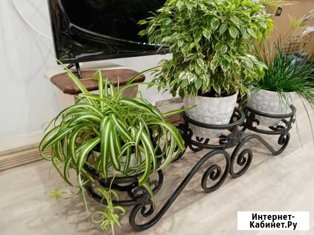 Подставка для цветов напольная Хабаровск - изображение 1