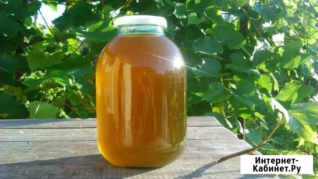 Лесной липовый мед Петрозаводск - изображение 1