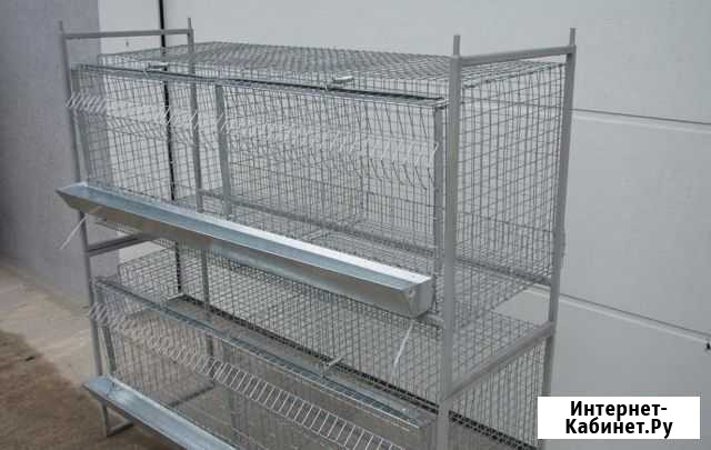 Клетки для бролеров кроликов курей несушек по ваши Кемерово - изображение 1