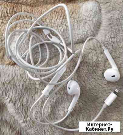 Наушники apple earpods Камышин