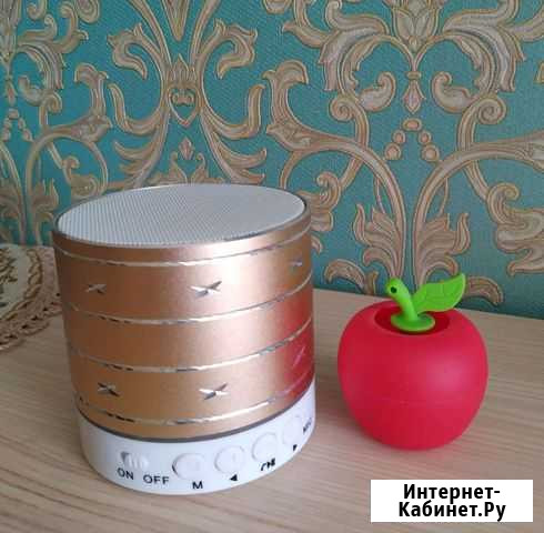 Колонка Рязань - изображение 1