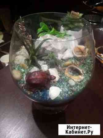 Флорариум Ижевск