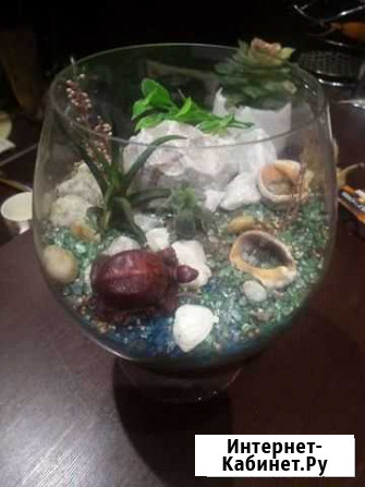 Флорариум Ижевск - изображение 1