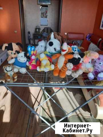 Мягкие игрушки штук Благовещенск - изображение 1