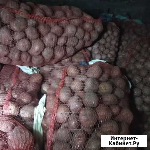 Продам картофель Чита - изображение 1