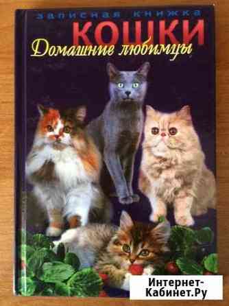 Домашние любимцы-Кошки Бердск