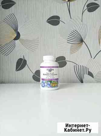 Концентрат голубики, 500мг Казань