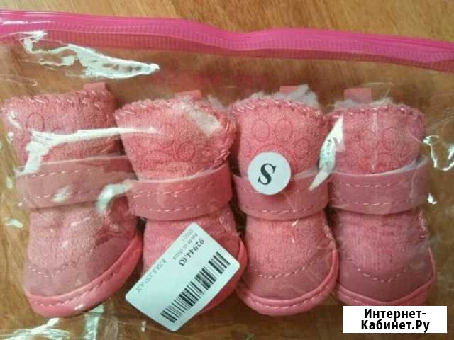 Обувь для домашних мини-питомцев Чалтырь - изображение 1