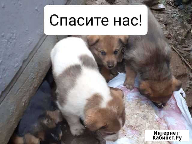 Замерзают на улице Екатеринбург - изображение 1