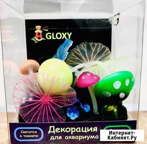Грот Gloxy флуорисцентный декор Грибы Красноярск - изображение 1