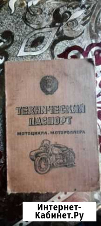 Муравей Тюмень - изображение 1