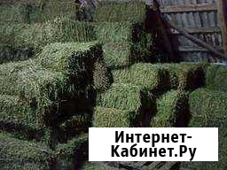 Сено Чернянка - изображение 1