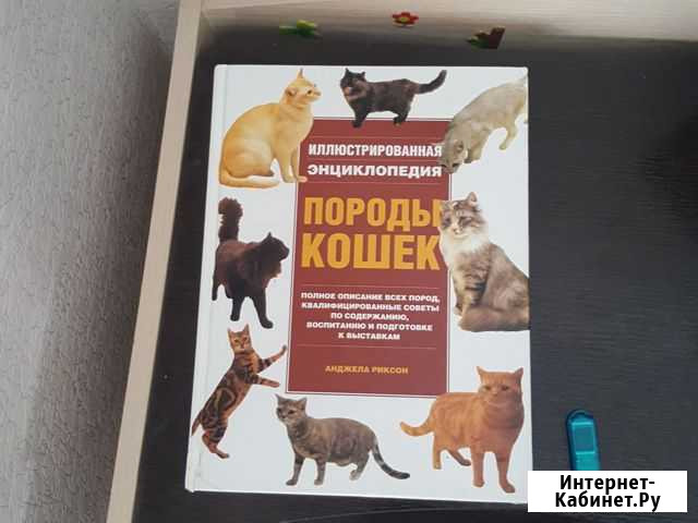 Книга Породы Кошек Ставрополь - изображение 1