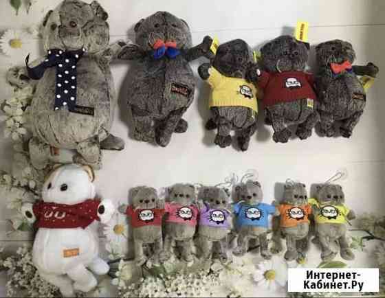 Басик и лили из домашней коллекции Новосибирск