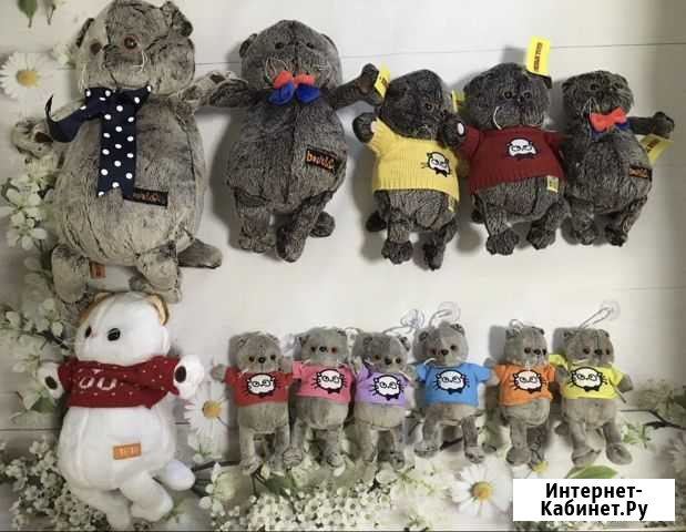 Басик и лили из домашней коллекции Новосибирск - изображение 1