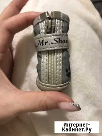 Животные Саратов - изображение 1