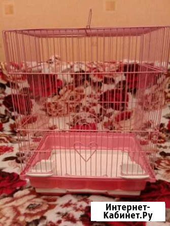 Клетка Набережные Челны - изображение 1