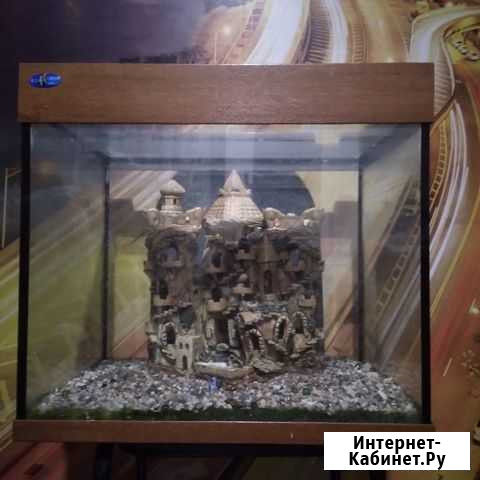 Аквариум Пенза - изображение 1