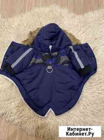 Одежда для маленьких собак Ижевск