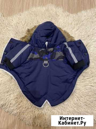 Одежда для маленьких собак Ижевск - изображение 1