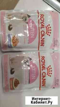 Влажный корм для котят Благовещенск