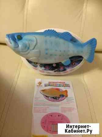 Новая Музыкальная рыбка Самара