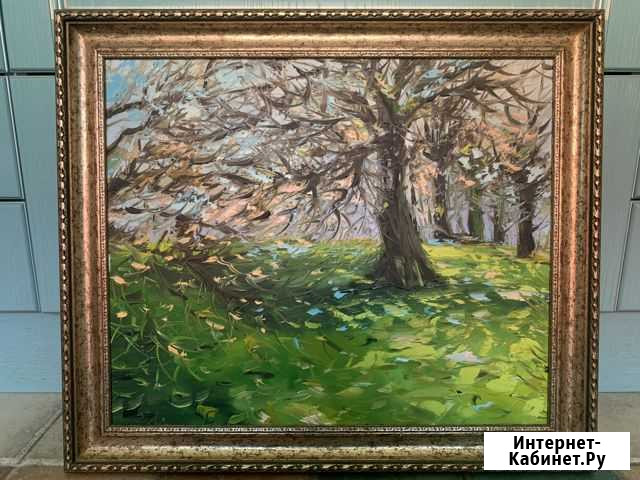 Картина маслом 50*60 в раме Тольятти - изображение 1