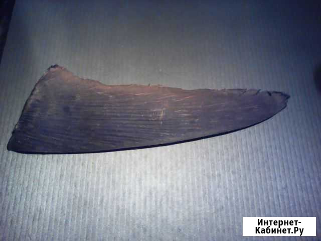 Акулий боковой плавник Калининград - изображение 1
