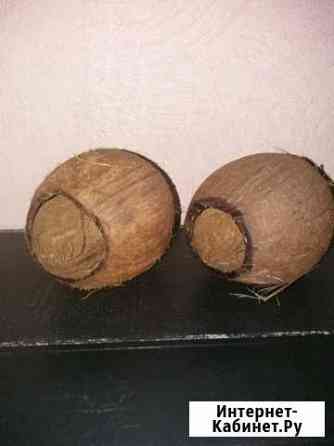 Укрытие кокос Ярославль