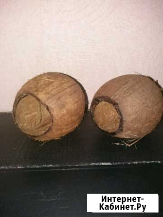 Укрытие кокос Ярославль - изображение 1