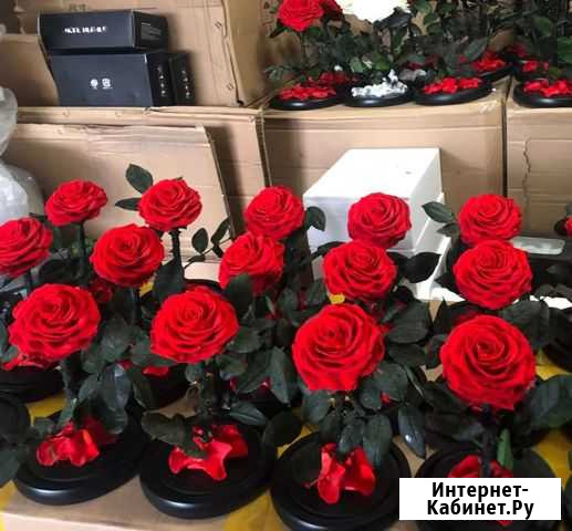 Роза в колбе оптом и в розницу Норильск - изображение 1
