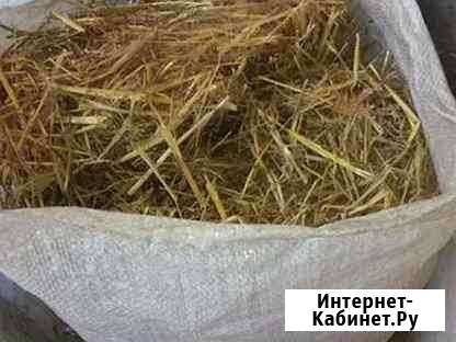 Солома в мешках Сорочинск - изображение 1