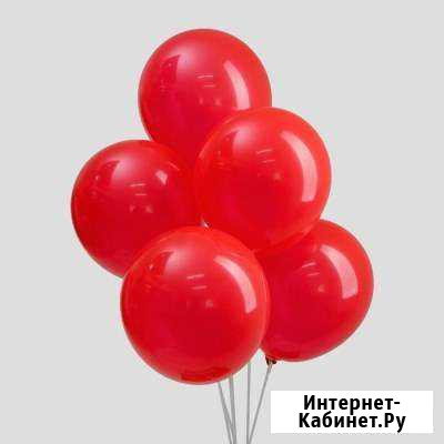 Воздушные шары Коряжма - изображение 1