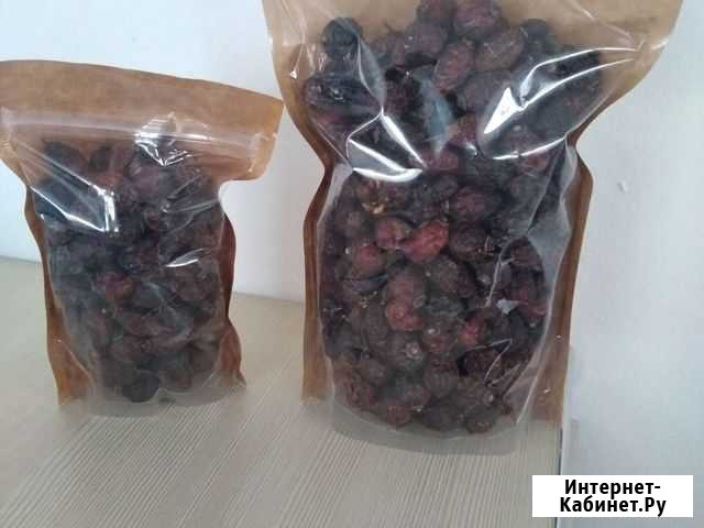 Шиповник сушеный Рубцовск - изображение 1