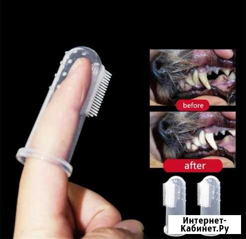 Аксессуары для чистки собак и кошек Ярославль - изображение 1