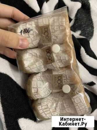 Ботинки для собаки новые Ярославль - изображение 1