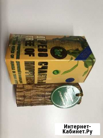 Туя Астрахань - изображение 1