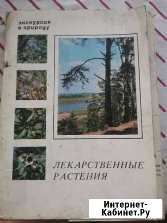 Открытки лекарственные растения Архангельск - изображение 1