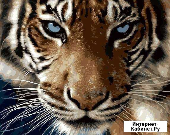 Картина на подрамнике 40Х50 Киров - изображение 1