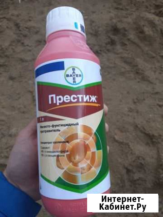 Престиж Курск - изображение 1