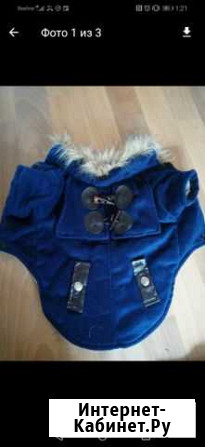 Одежда для собаки Саратов - изображение 1