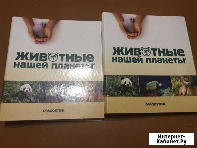 Животные нашей планеты Барнаул - изображение 1