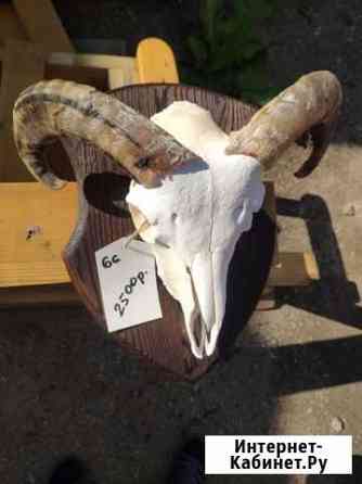 Череп на медальоне Екатеринбург